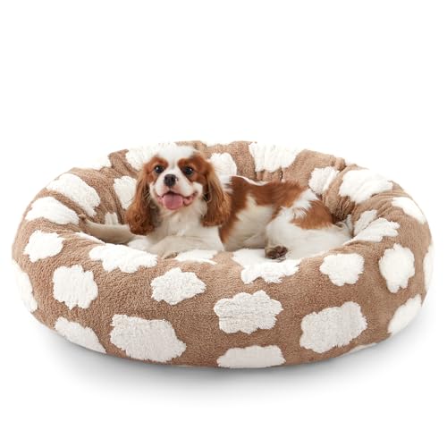 JOEJOY Donut-Katzenbett für Hauskatzen, rundes beruhigendes kleines Hundebett mit abnehmbarem, waschbarem Bezug, 50,8 cm, orthopädisches, niedliches Welpen-Kätzchen-Haustierbett mit Jacquard-Plüsch JOEJOY Donut-Katzenbett für Hauskatzen, rundes beruhigendes kleines Hundebett mit abnehmbarem, waschbarem Bezug, 50,8 cm, orthopädisches, niedliches Welpen-Kätzchen-Haustierbett mit Jacquard-Plüsch von JOEJOY