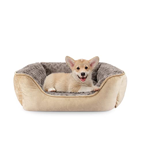 JOEJOY Hundebett kleine Hunde Katzenbett flauschig Hundekorb Hundebetten kuschelig Hundekissen Ultra weiches Haustierbett für Kleine Hunde und Katzen, S(51x48x18cm), Beige von JOEJOY