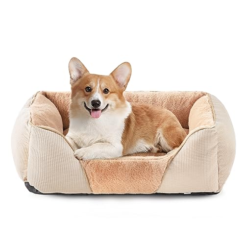 JOEJOY Hundebett Mittelgroße Hunde 64x53cm- Waschbar Flauschig Hundekorb- Anti-Angst Hundebetten- Weich& Bequem Hundekörbchen- Rutschfestes hundekissen für Mittelgroße und Kleine Hunde Beige von JOEJOY