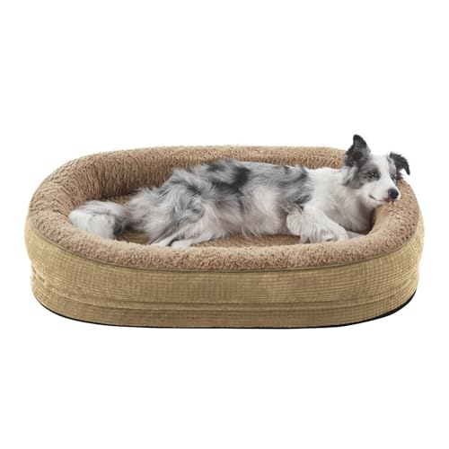 JOEJOY Orthopädische Hundebetten, groß, Eierkiste, Memory-Schaum, Haustier-Couch-Bett mit Nackenrolle, wasserdichtes Futter, abnehmbarer, waschbarer Bezug und rutschfeste Unterseite, Hellbraun JOEJOY Orthopädische Hundebetten, groß, Eierkiste, Memory-Schaum, Haustier-Couch-Bett mit Nackenrolle, wasserdichtes Futter, abnehmbarer, waschbarer Bezug und rutschfeste Unterseite, Hellbraun von JOEJOY
