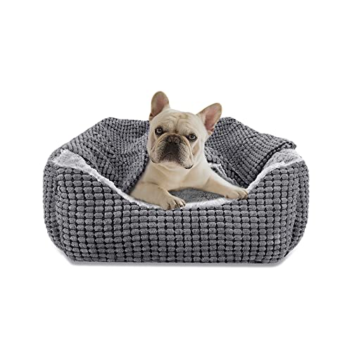 JOEJOY Hundebett Kleine Hunde, Hundekorb mit Herausnehmbar Decke, Hundebetten Cord Flauschiges Waschbar, rutschfest Hundekörbchen, Hundesofa mit Hohem Rand Passt bis zu 9kg Haustiere(51x48x15cm) von JOEJOY