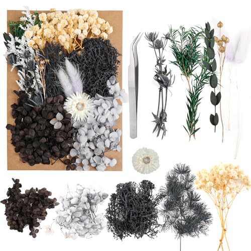 JOFONY Trockenblumen,Getrocknete Blumen,Trockenblumen Set für DIY Scrapbook Zubehör Blumengestecke Blumendekoration Hochzeitsdekoration(Schwarz) von JOFONY