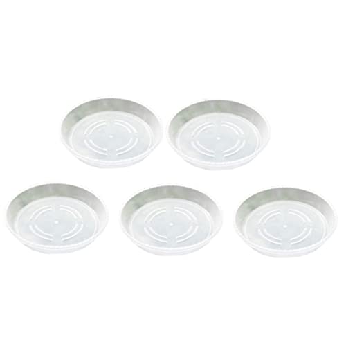 JOINPAYA 20 Stück Pflanzschale Kunststoff Garten Pflanzschalen Drainage klarer Topf Pflanzerunter Untertasse Untersetzer Kunststoff Abtropfschale für Blumentöpfe Blumentablett JOINPAYA 20 Stück Pflanzschale Kunststoff Garten Pflanzschalen Drainage klarer Topf Pflanzerunter Untertasse Untersetzer Kunststoff Abtropfschale für Blumentöpfe Blumentablett von JOINPAYA
