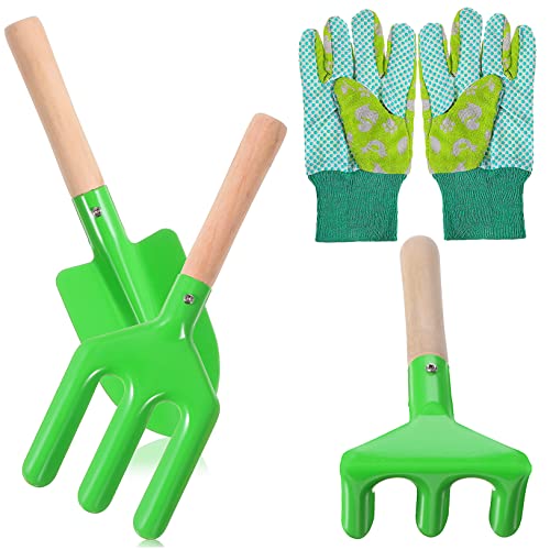 JOINPAYA 4 Stück Gartenwerkzeug Set für Teiliges Set mit Holzgriffen Bestehend Schaufel Dreifinger Rechen und Handschuhen für Kleine und Gartenliebhaber JOINPAYA 4 Stück Gartenwerkzeug Set für Teiliges Set mit Holzgriffen Bestehend Schaufel Dreifinger Rechen und Handschuhen für Kleine und Gartenliebhaber von JOINPAYA