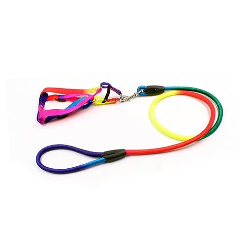 JOINPAYA Regenbogenfarbene Hundeleine und Geschirr Verstellbare Langlebige Nylon Leine und Brustgeschirr für Kleine Hunde Modisch und Bequem für und Training JOINPAYA Regenbogenfarbene Hundeleine und Geschirr Verstellbare Langlebige Nylon Leine und Brustgeschirr für Kleine Hunde Modisch und Bequem für und Training von JOINPAYA