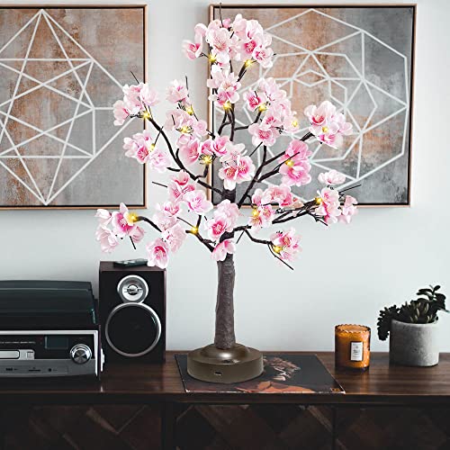 JOINTWIN Kirschblüten-Baumlicht, 24 LEDs, rosa Blumen, künstlicher Tischbaum, batteriebetrieben und USB-betrieben, 8 Beleuchtungsmodi mit Timer-Funktion für Frühlings-Heimdekoration (warmweiß) von JOINTWIN