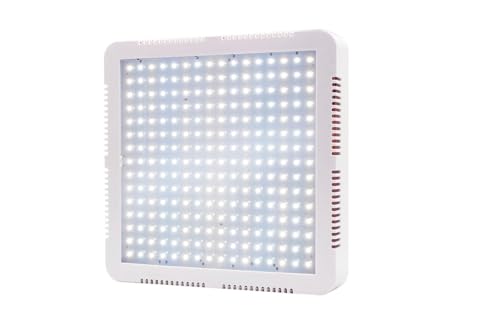 JOJIDE Pflanzenlampe, Pflanzenwachstumslicht mit Doppelschalter, Vollspektrum-Wachstumslicht for Zimmerpflanzen, geeignet for den Innen- und Balkonbereich(Warm White) von JOJIDE