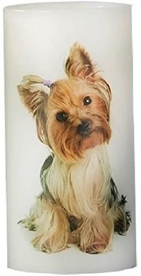 Luna24 simply great ideas... LED-Kerze 2 Stück LED Kerze mit Hundemotiv Yorkshire Terrier 15839 Luna24 simply great ideas... LED-Kerze 2 Stück LED Kerze mit Hundemotiv Yorkshire Terrier 15839 von Luna24 simply great ideas...