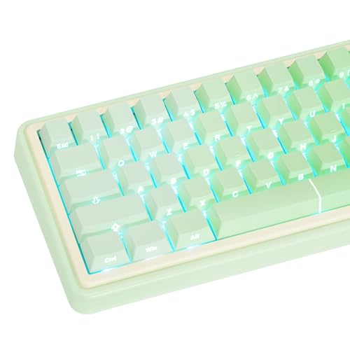 JOLINTAL 121 Tasten Gradient Green Keycaps, PBT Side Printed Key Caps, Cherry Profile Shine Through Key Caps Double Shot Backlit Keycap Set for Cherry MX Switches Mechanical Keyboards von JOLINTAL