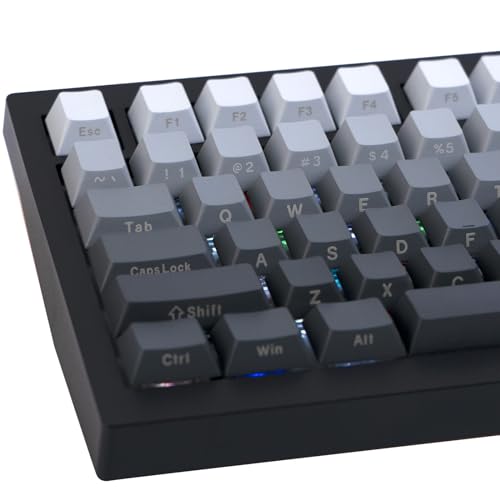 JOLINTAL 124er Lila Gradient Keycaps – PBT, Cherry-Profil, Dye-Sublimation Seitenprint, kompatibel mit Cherry MX & Gaming Mechanical Tastaturen von JOLINTAL