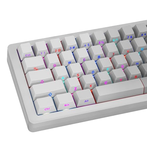 JOLINTAL Shine Through Keycaps, 121 Keys Gradient Grey Keycaps, Cherry Profile Side Printed Keycap, Double Shot Backlit Keycap Set for Cherry MX Switches Mechanical Keyboards von JOLINTAL
