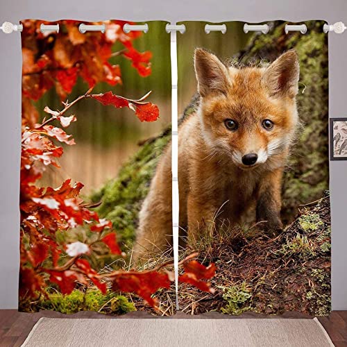 JOMAKE Fuchs Vorhang 3D Süßer Fuchs Blickdicht Gardinen mit Ösen 2 Stück Verdunkelungsvorhänge Junge Mädchen Vorhang Verdunkelung Wärmeisolierend Schlafzimmer Gardine 2 x 75 x 166 cm（B X H） von JOMAKE