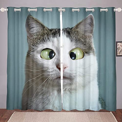 JOMAKE Lustige Katze Vorhang 3D Tier Blickdicht Gardinen mit Ösen 2 Stück Verdunkelungsvorhänge Junge Mädchen Vorhang Verdunkelung Wärmeisolierend Schlafzimmer Gardine 2 x 75 x 166 cm（B X H） von JOMAKE