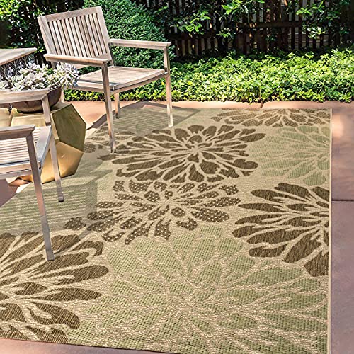 JONATHAN Y Zinnia Moderne Florale strukturierte Weave Innen-/Außenanlage Area Rugs, Polypropylen (PP), 240 X 300 cm, Sage/Brown von JONATHAN Y