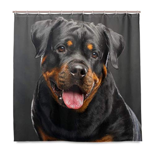 JOOCAR Design Duschvorhang, schwarzer Rottweiler-Hund, wasserdichter Stoff, Badezimmer-Dekor-Set mit Haken von JOOCAR