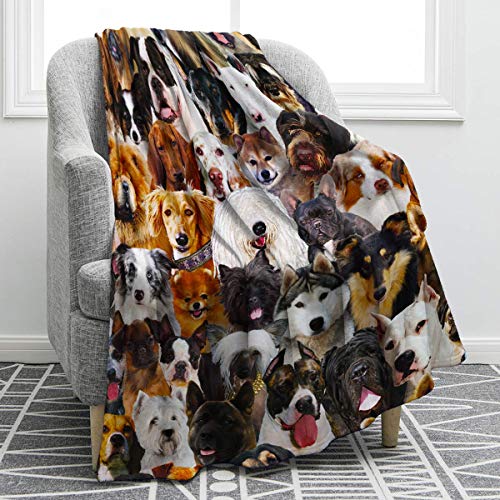 JOOCAR Flanell-Überwurfdecke mit Hundemotiv und Familienaufdruck, Husky, Shiba Inu, Zwergspitz, Bullterrier, gemütliche und weiche Plüsch-warme Decken für Bett, Couch, Wohnzimmer, Sofa, Stuhl von JOOCAR