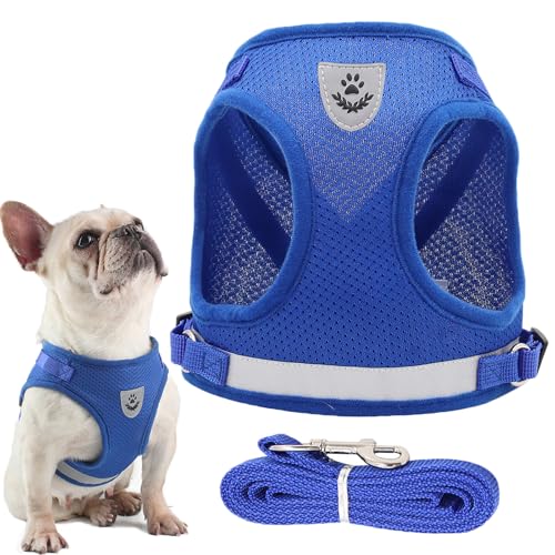 JOOTUEPO Hundegeschirr und Leine Set, Hundegeschirr Kleine Hunde mit Leine, Reflektierendes Step-in-Welpengeschirr mit Dicker Gepolsterter Weste für Kleine Mittelgroße Hunde, XS von JOOTUEPO