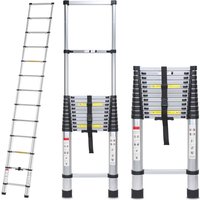 Jopassy - swanew Teleskopleiter 5m bis 150kg 13 Schritte Aluminium Silber Stehleiter Mehrzweckleiter von JOPASSY