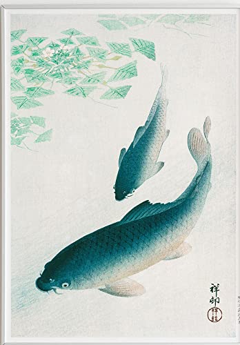 JOPRICO Koi (1926) by Ohara Koson - Japan Poster - Asia Dekoration - Vintage Japan Kunstdruck Größe 30x40 cm | 12x16 inch von JOPRICO