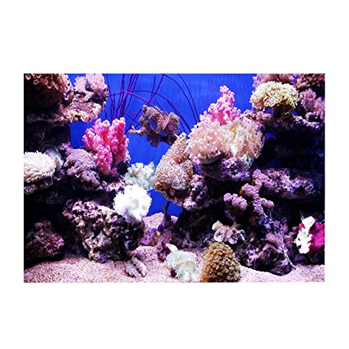 JOROBURO Aquarium-Hintergrund, Selbstklebendes Korallen-Seaworld-Poster mit 3D-Effekt, PVC-Aufkleber, Einseitig Klebende Tapete, Hintergrund-Poster, Aquarium-Wanddekorationen(61 * 41cm) von JOROBURO