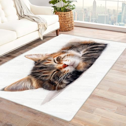 JOSUE Generic Weicher Teppich 3D Vintage Boho Rétro Carpet Lustige Tiere ideal fürs Wohnzimmer, Schlafzimmer und Kinderzimmer auch als Badematte(Braun 52)-90x120cm von JOSUE