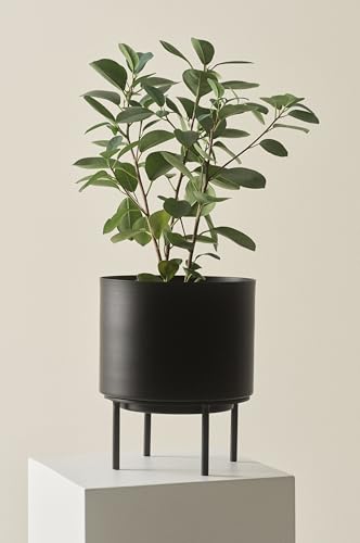 Jotex Monique Übertopf, vielseitiger Blumentopf aus Eisen mit kleinen Gestell für den Innen- und Außenbereich, Schwarz Pflanzer, 26 cm hoch, Ø 22 cm Jotex Monique Übertopf, vielseitiger Blumentopf aus Eisen mit kleinen Gestell für den Innen- und Außenbereich, Schwarz Pflanzer, 26 cm hoch, Ø 22 cm von JOTEX