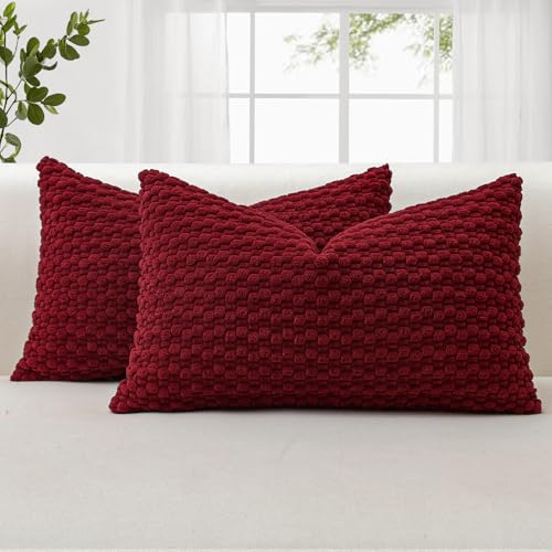 JOTOM 2er Set Cord Kissenbezüge, 3D Bubble Texture Boho Zierkissenbezug Dekorative Sofakissen Dekokissen Kordsamt Kissenbezug Deko Kissenhülle für Couch Sofa Wohnzimmer (30x50cm, Burgund) von JOTOM