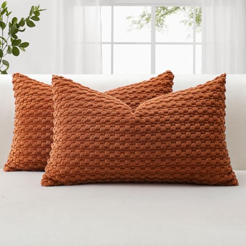 JOTOM 2er Set Cord Kissenbezüge, 3D Bubble Texture Boho Zierkissenbezug Dekorative Sofakissen Dekokissen Kordsamt Kissenbezug Deko Kissenhülle für Couch Sofa Wohnzimmer (30x50cm, Rost) von JOTOM