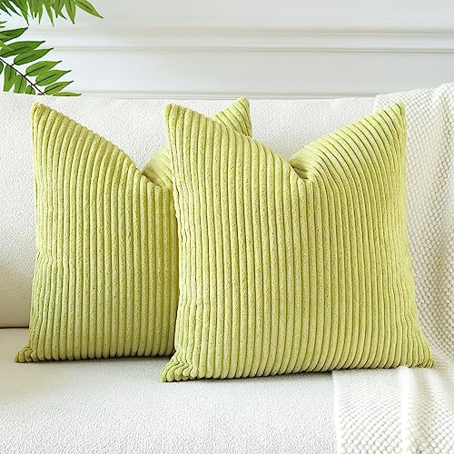 JOTOM 2er Set Cord Kissenbezüge Kissenhülle Dekorative Zierkissen Sofakissen Couchkissen Dekokissen Kissenbezug Deko Kissenhülle für Sofa Wohnzimmer 45x45cm Blassgrün von JOTOM