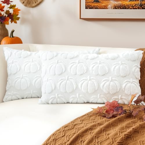 JOTOM 2er Set Kürbis Kissenbezüge, Plüsch Kurze Wolle Dekorativ Zierkissenbezüge Herbst Boho Kissenhüllen Sofakissen Moderne Kissenbezug Herbstdeko für Wohnzimmer Garten (40x60cm, Weiß) von JOTOM
