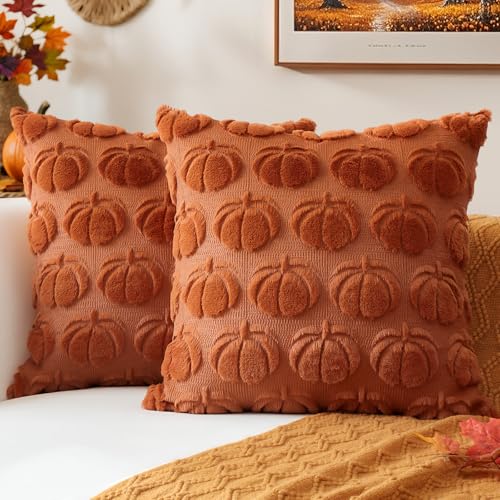 JOTOM 2er Set Kürbis Kissenbezüge, Plüsch Kurze Wolle Dekorativ Zierkissenbezüge Herbst Boho Kissenhüllen Sofakissen Moderne Kissenbezug Herbstdeko für Wohnzimmer Garten (60x60cm, Rost) von JOTOM