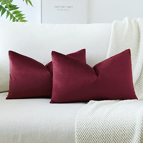 JOTOM Samt Kissenbezug Kissenhülle Sofakissen Dekokissen Kissenbezüge für Sofa Wohnzimmer Schlafzimmer 2er Set 30x50 cm Bordeaux von JOTOM