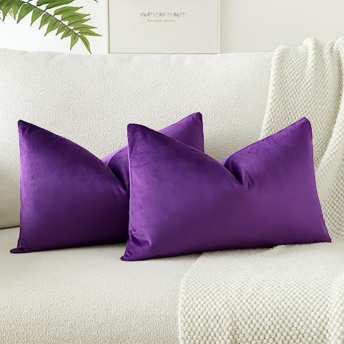 JOTOM Samt Kissenbezug Kissenhülle Sofakissen Dekokissen Kissenbezüge für Sofa Wohnzimmer Schlafzimmer 2er Set 30x50 cm Lila JOTOM Samt Kissenbezug Kissenhülle Sofakissen Dekokissen Kissenbezüge für Sofa Wohnzimmer Schlafzimmer 2er Set 30x50 cm Lila von JOTOM