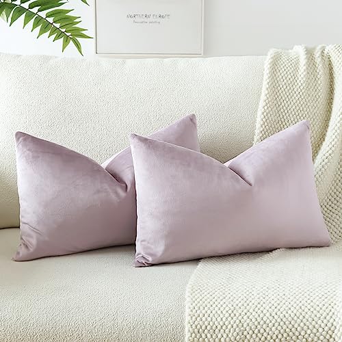 JOTOM Samt Kissenbezug Kissenhülle Sofakissen Dekokissen Kissenbezüge für Sofa Wohnzimmer Schlafzimmer 2er Set 30x50 cm Rosa Lila von JOTOM