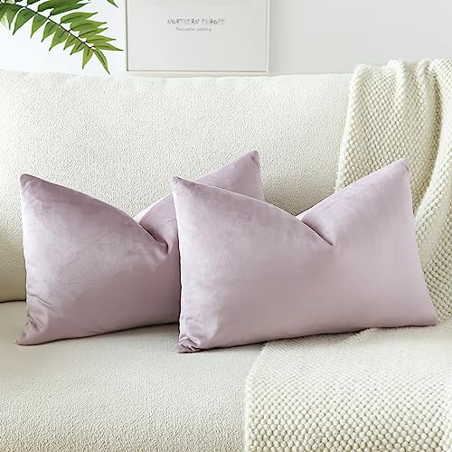 JOTOM Samt Kissenbezug Kissenhülle Sofakissen Dekokissen Kissenbezüge für Sofa Wohnzimmer Schlafzimmer 2er Set 30x50 cm Rosa Lila JOTOM Samt Kissenbezug Kissenhülle Sofakissen Dekokissen Kissenbezüge für Sofa Wohnzimmer Schlafzimmer 2er Set 30x50 cm Rosa Lila von JOTOM
