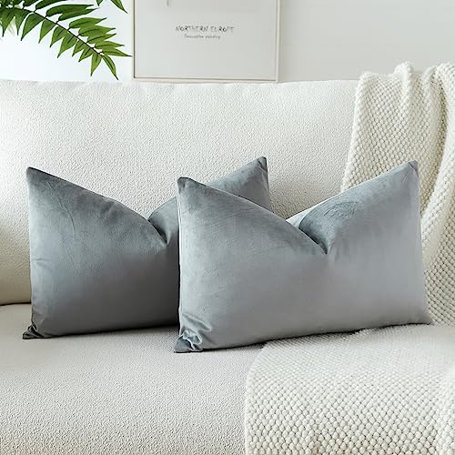 JOTOM Samt Kissenbezug Kissenhülle Sofakissen Dekokissen Kissenbezüge für Sofa Wohnzimmer Schlafzimmer 2er Set 30x50 cm Silvergelb JOTOM Samt Kissenbezug Kissenhülle Sofakissen Dekokissen Kissenbezüge für Sofa Wohnzimmer Schlafzimmer 2er Set 30x50 cm Silvergelb von JOTOM