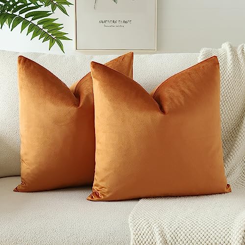 JOTOM Samt Kissenbezug Kissenhülle Sofakissen Dekokissen Kissenbezüge für Sofa Wohnzimmer Schlafzimmer 2er Set 40x40 cm Orange von JOTOM