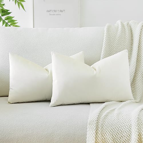 JOTOM Samt Kissenbezug Kissenhülle Sofakissen Dekokissen Kissenbezüge für Sofa Wohnzimmer Schlafzimmer 2er Set 40x60 cm Beige von JOTOM