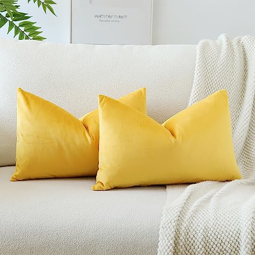 JOTOM Samt Kissenbezug Kissenhülle Sofakissen Dekokissen Kissenbezüge für Sofa Wohnzimmer Schlafzimmer 2er Set 40x60 cm Gelb von JOTOM