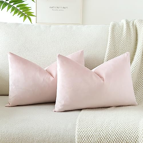 JOTOM Samt Kissenbezug Kissenhülle Sofakissen Dekokissen Kissenbezüge für Sofa Wohnzimmer Schlafzimmer 2er Set 40x60 cm Hellrosa von JOTOM