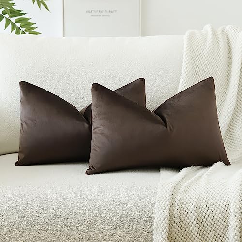 JOTOM Samt Kissenbezug Kissenhülle Sofakissen Dekokissen Kissenbezüge für Sofa Wohnzimmer Schlafzimmer 2er Set 40x60 cm Schokoladenbraun JOTOM Samt Kissenbezug Kissenhülle Sofakissen Dekokissen Kissenbezüge für Sofa Wohnzimmer Schlafzimmer 2er Set 40x60 cm Schokoladenbraun von JOTOM