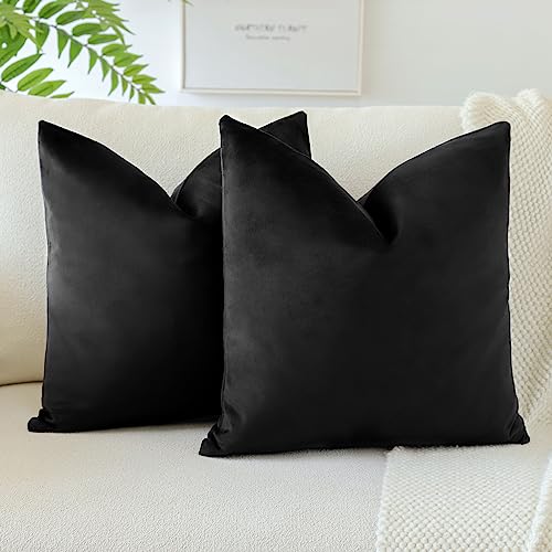 JOTOM Samt Kissenbezug Kissenhülle Sofakissen Dekokissen Kissenbezüge für Sofa Wohnzimmer Schlafzimmer 2er Set 45x45 cm Schwarz von JOTOM