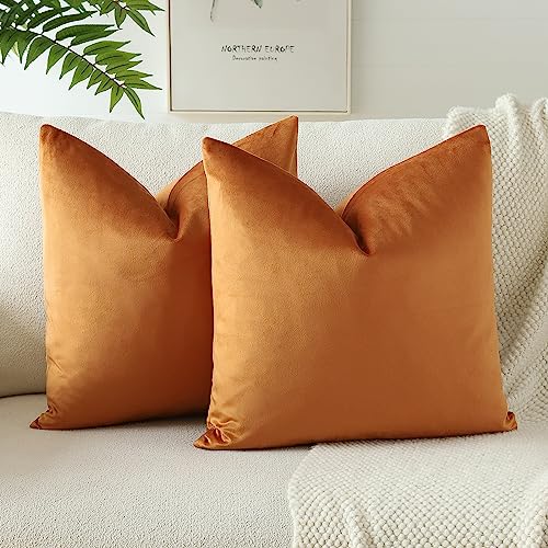 JOTOM Samt Kissenbezug Kissenhülle Sofakissen Dekokissen Kissenbezüge für Sofa Wohnzimmer Schlafzimmer 2er Set 55x55 cm Orange von JOTOM