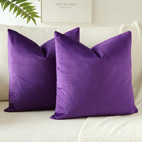 JOTOM Samt Kissenbezug Kissenhülle Sofakissen Dekokissen Kissenbezüge für Sofa Wohnzimmer Schlafzimmer 2er Set 60x60 cm Lila JOTOM Samt Kissenbezug Kissenhülle Sofakissen Dekokissen Kissenbezüge für Sofa Wohnzimmer Schlafzimmer 2er Set 60x60 cm Lila von JOTOM
