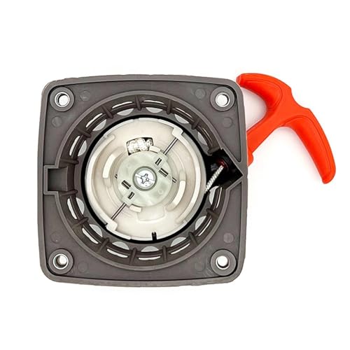JOVERI Neuer 4-Takt-Benzin-Freischneidermotor mit Seilzugstarter 139 Reversierstarter JOVERI Neuer 4-Takt-Benzin-Freischneidermotor mit Seilzugstarter 139 Reversierstarter von JOVERI