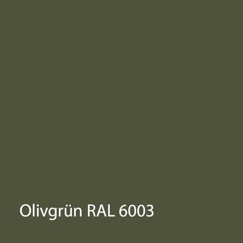 JOWO-CHEMIE Wetterschutzfarbe Holzfarbe Zaunfarbe Gartenfarbe auf Hölzer aller Art (Olivgrün RAL 6003, 2,5kg) von JOWO-CHEMIE