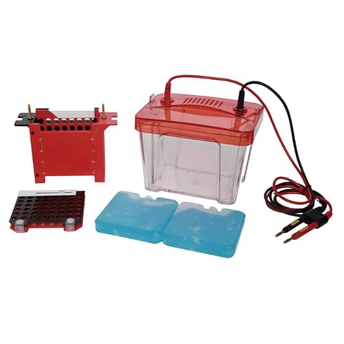 Elektrophoresegerät, LF-ZY03 Kleines Transfer-Elektrophorese-Tank-Protein-Transfer-Elektrophorese-Instrument für gängige Proteine von JOXLOVER