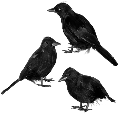 JOYIN 6er-Pack Halloween-Krähen-Dekorationsset, Raben-Dekor, Halloween-Krähen-Requisiten für Schreibtische, Bäume, Wände und Fenster, artydekorationen für drinnen und draußen, Spukhaus-Dekorationen von JOYIN