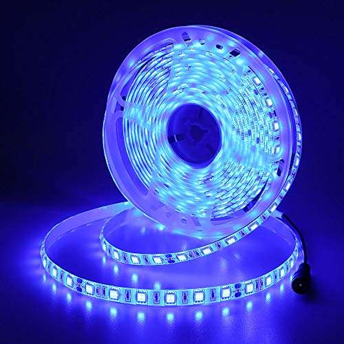 JOYLIT 24V LED Streifen 5M Blau 460-465nm IP65 Wasserdicht, 300LEDs 5050 SMD Light Strip Selbstklebend Dimmbar Licht Band Beleuchtung für Küche, Boot, Auto usw (Ohne Netzteil) von JOYLIT