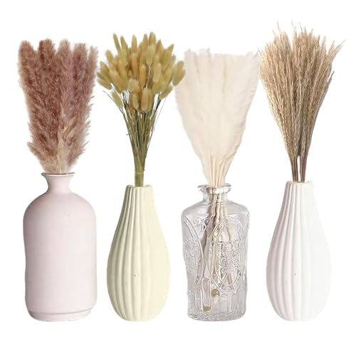 JOZMMZEOOA Bunny Tails Getrockneten Blumen Tischdekoration zu Hause Pampasgras-Dekorationen Trockenblumenstrauß für Hochzeiten, Blumendekorationen Im BohèMe-Stil (100) von JOZMMZEOOA